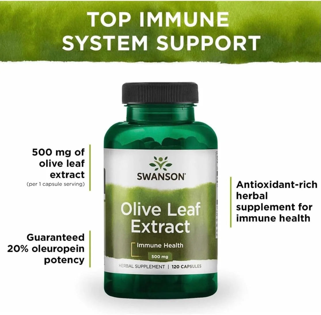 Swanson Olive Leaf Extract Immune Health, 500 mg, 120 Caps