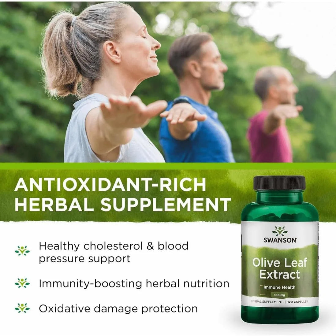 Swanson Olive Leaf Extract Immune Health, 500 mg, 120 Caps